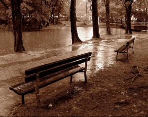 pioggia-al-parco-8387241464