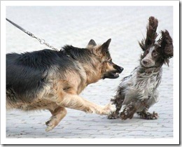 8b1638cf19_1323518_med