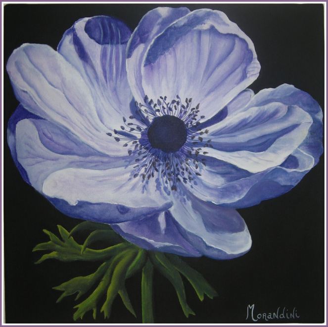 Anemone-Step4