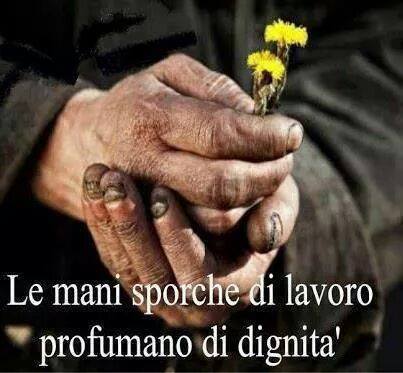 10255493_550490025071174_8183431983664107058_n