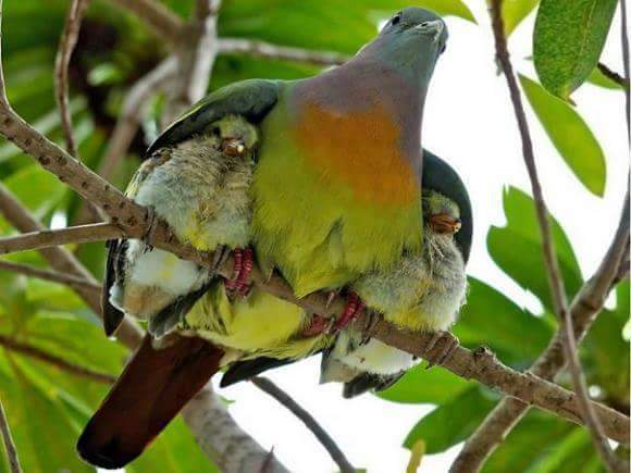 FB_IMG_1462217627352 (1)